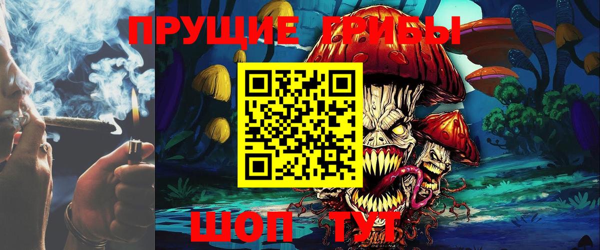 Галлюциногенные грибы GOLDEN TEACHER  где купить   Вход с VPN  Королёв  Галлюциногенные грибы мицелий 